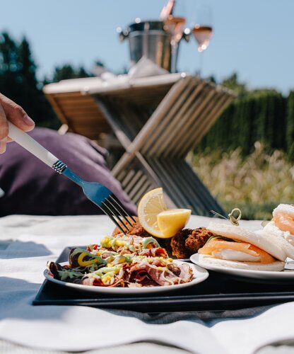 Picknick im Grünen mit Wurstsalat, Sandwiches und Sektkübel