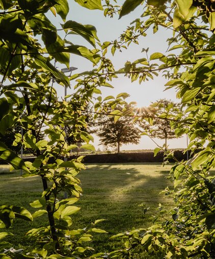Ansicht einer frisch und grünen Wiese mit Bäumen beim Spa Resort Geinberg | © Spa Resort Geinberg / Chris Perkles
