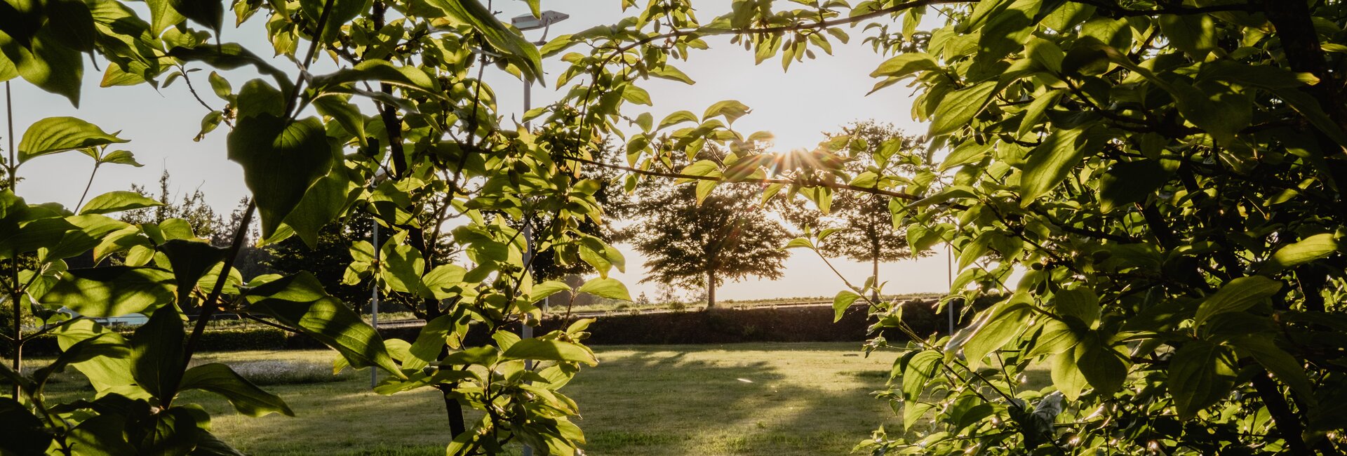 Ansicht einer frisch und grünen Wiese mit Bäumen beim Spa Resort Geinberg | © Spa Resort Geinberg / Chris Perkles