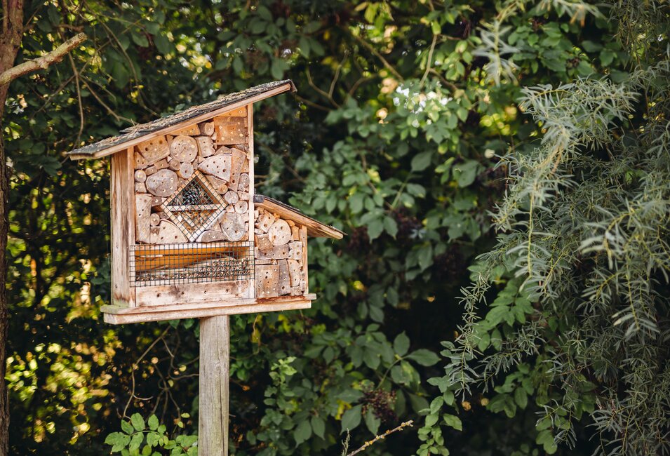 Insektenhotel an der Karibik-Lagune im Spa Resort Geinberg | © Spa Resort Geinberg / Nicky Webb