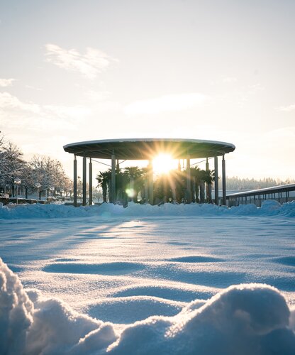 Unterkunft der Palmen während des Winters im Spa Resort Geinberg | © Spa Resort Geinberg / Tobi Gast