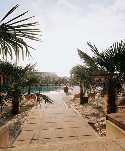 Blick aus der Palmen-Bucht auf das Thermal-Becken outdoor | © Spa Resort Geinberg / Tobias Gast