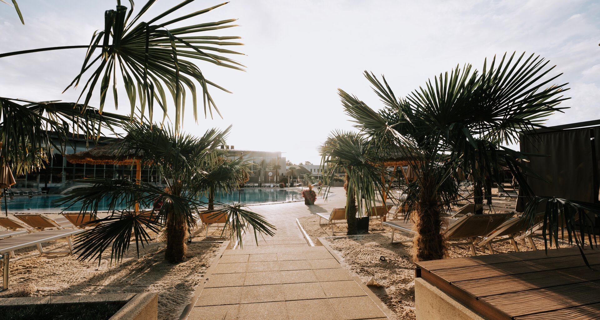 Blick aus der Palmen-Bucht auf das Thermal-Becken outdoor | © Spa Resort Geinberg / Tobias Gast