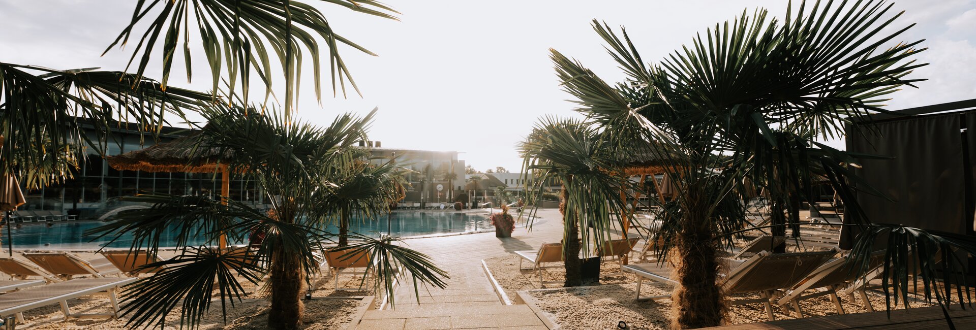 Blick aus der Palmen-Bucht auf das Thermal-Becken outdoor | © Spa Resort Geinberg / Tobias Gast