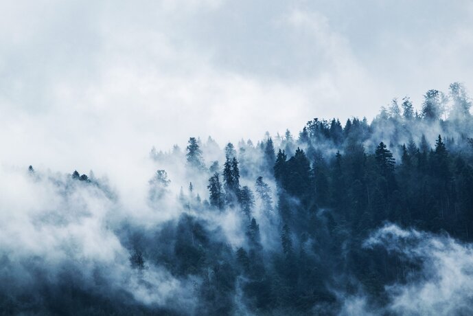 Winter Fallback | © Sportalpen GmbH