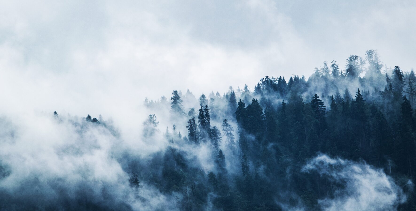 Winter Fallback | © Sportalpen GmbH