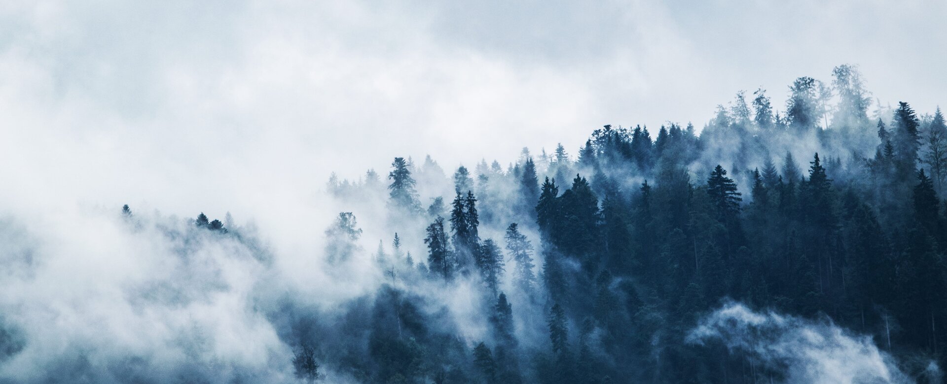 Winter Fallback | © Sportalpen GmbH